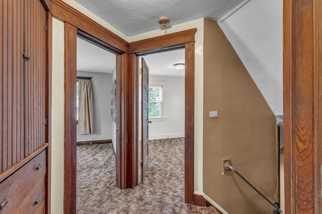843 Center St, Jackson, MI 49202 - corridor with carpet and baseboards