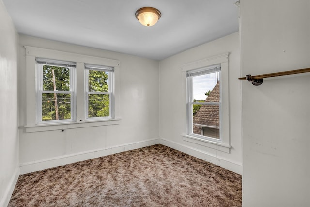 843 Center St, Jackson, MI 49202 - spare room featuring plenty of natural light and carpet