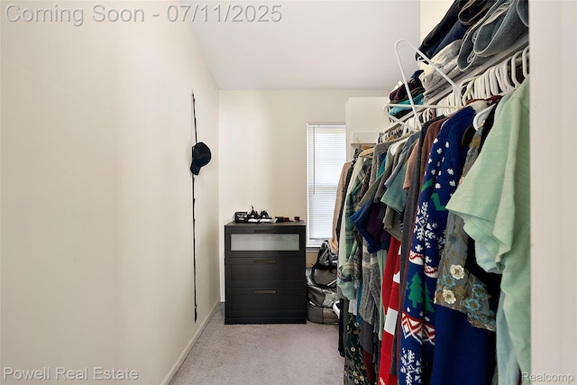 2601 Eardman Ct, Westland, MI 48186 - walk in closet with carpet flooring