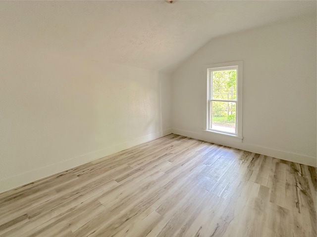 1006 Madison St, Three Rivers, MI 49093 - additional living space with lofted ceiling and light wood-style floors
