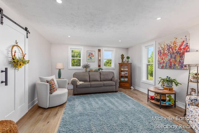 10840 Harvard Ave NE, Rockford, MI 49341 - living area with a barn door, wood finished floors, a textured ceiling, and recessed lighting