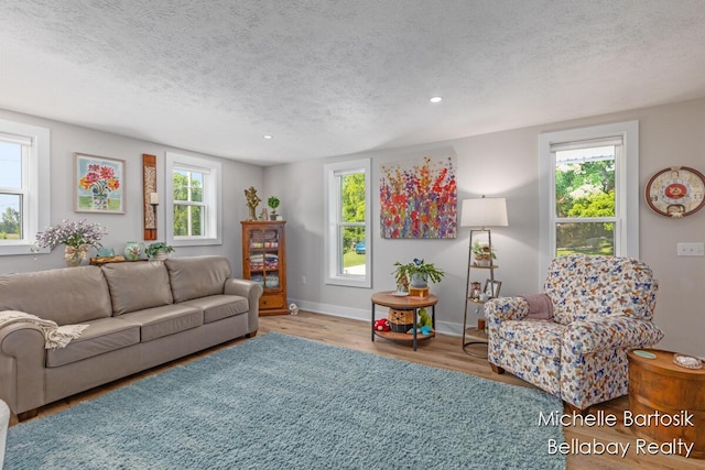 10840 Harvard Ave NE, Rockford, MI 49341 - living area featuring a textured ceiling, wood finished floors, and recessed lighting