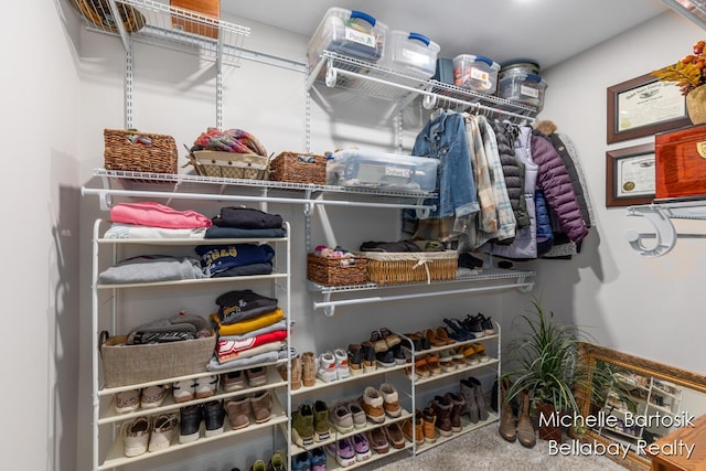 10840 Harvard Ave NE, Rockford, MI 49341 - view of walk in closet