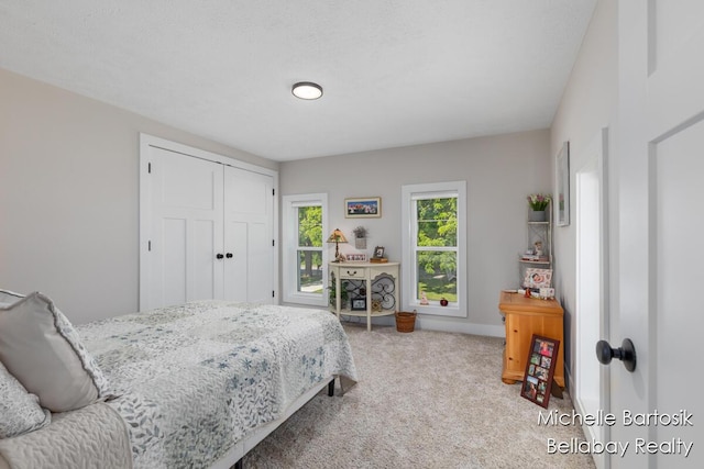 10840 Harvard Ave NE, Rockford, MI 49341 - carpeted bedroom featuring a closet and baseboards