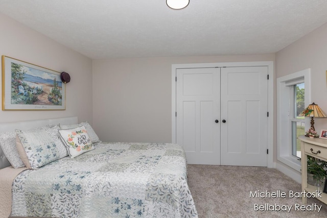 10840 Harvard Ave NE, Rockford, MI 49341 - bedroom with carpet floors and a closet
