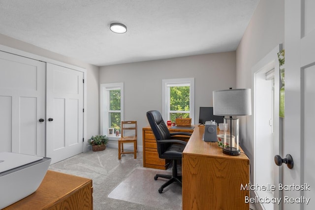 10840 Harvard Ave NE, Rockford, MI 49341 - view of carpeted office space