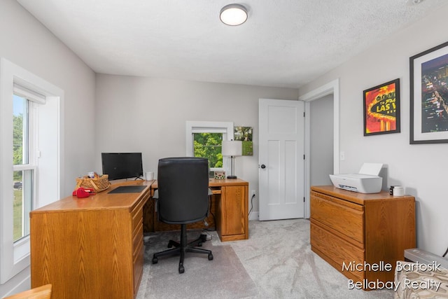 10840 Harvard Ave NE, Rockford, MI 49341 - home office with plenty of natural light and light carpet