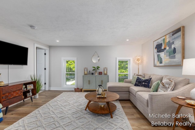 10840 Harvard Ave NE, Rockford, MI 49341 - living area featuring wood finished floors, a textured ceiling, and recessed lighting