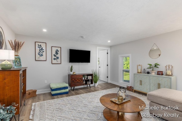10840 Harvard Ave NE, Rockford, MI 49341 - living room featuring wood finished floors and recessed lighting