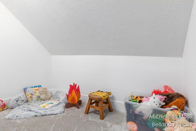 10840 Harvard Ave NE, Rockford, MI 49341 - playroom featuring a textured ceiling, vaulted ceiling, and carpet floors