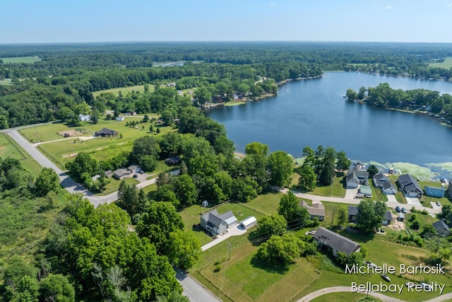 10840 Harvard Ave NE, Rockford, MI 49341 - view of property location with a nearby body of water and a forest