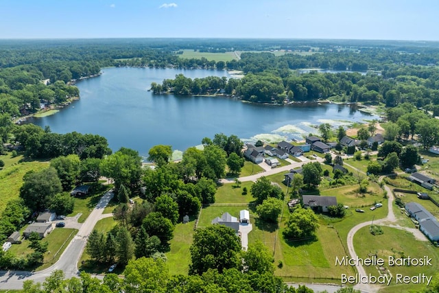 10840 Harvard Ave NE, Rockford, MI 49341 - bird's eye view of a large body of water and a forest