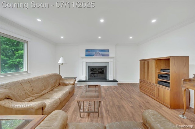 3417 Palm Aire Ct, Rochester Hills, MI 48309 - living area with light wood finished floors, a fireplace with raised hearth, crown molding, and recessed lighting