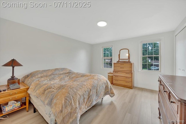 3417 Palm Aire Ct, Rochester Hills, MI 48309 - bedroom with light wood finished floors and baseboards