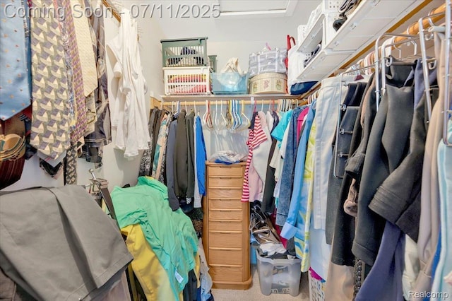 3417 Palm Aire Ct, Rochester Hills, MI 48309 - spacious closet with carpet