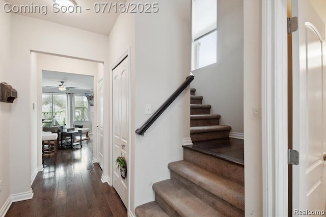 42384 Gateway Dr, Plymouth, MI 48170 - stairway with wood finished floors and a ceiling fan