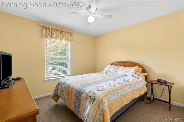4282 Sherwood Cir, Canton, MI 48188 - photo 21