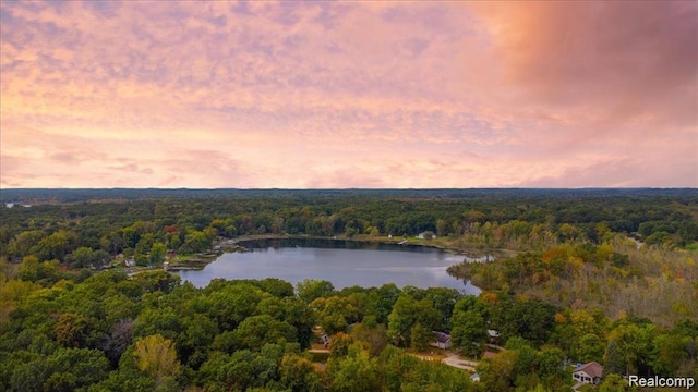 10350 Half Moon Dr, Pinckney, MI 48169 - photo 3