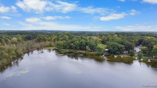 10350 Half Moon Dr, Pinckney, MI 48169 - photo 9