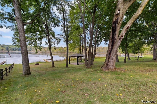 10350 Half Moon Dr, Pinckney, MI 48169 - photo 12