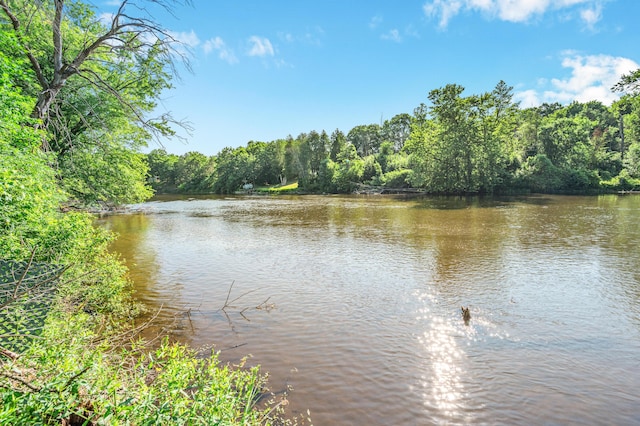 76 Meceola Ct, Hersey, MI 49639 - water view with a forest