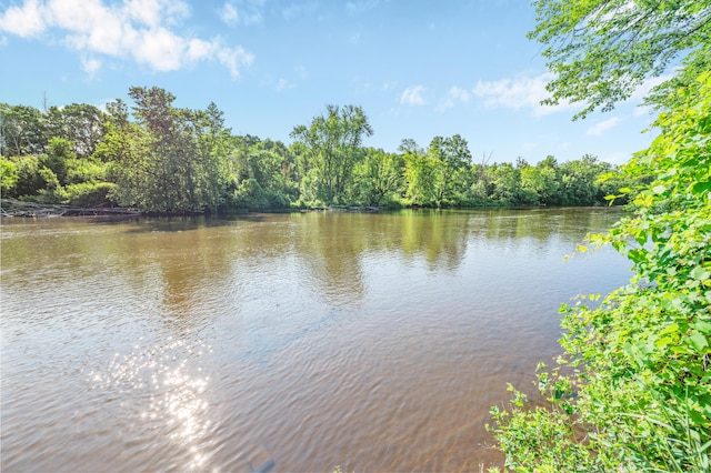 76 Meceola Ct, Hersey, MI 49639 - water view with a forest