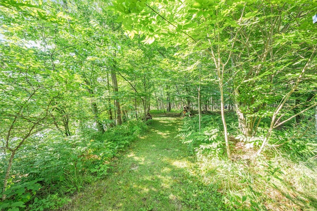 76 Meceola Ct, Hersey, MI 49639 - view of woods