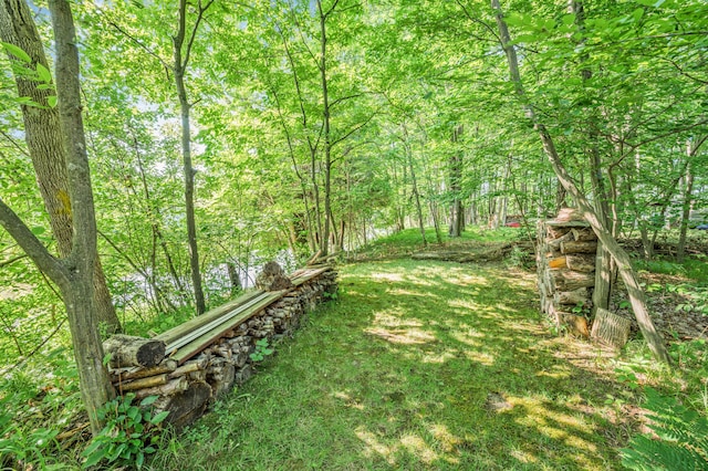 76 Meceola Ct, Hersey, MI 49639 - view of yard featuring a forest view