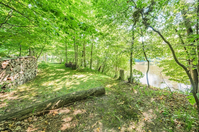 76 Meceola Ct, Hersey, MI 49639 - view of yard with a water view