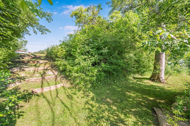 76 Meceola Ct, Hersey, MI 49639 - view of yard