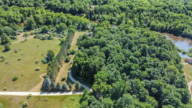 76 Meceola Ct, Hersey, MI 49639 - aerial view of property's location with a large body of water