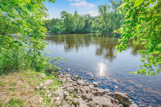 76 Meceola Ct, Hersey, MI 49639 - water view featuring a heavily wooded area