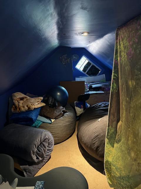 1325 Maude Ave NE, Grand Rapids, MI 49505 - detailed view of carpet floors