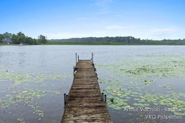 331 Conkey Dr, Michigan, MI 48834 - dock with a water view