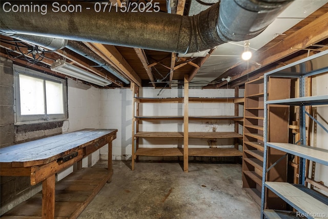 20225 Shady Lane Ave, Saint Clair Shores, MI 48080 - below grade area with concrete block wall