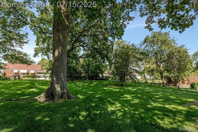 20225 Shady Lane Ave, Saint Clair Shores, MI 48080 - view of yard