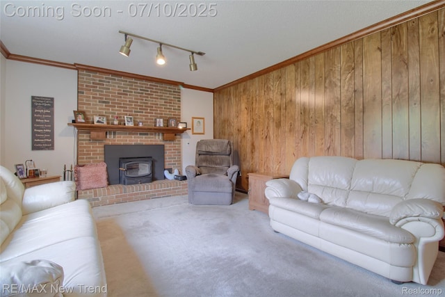 21905 Roxbury Dr, Novi, MI 48374 - living room featuring wood walls, a wood stove, ornamental molding, carpet floors, and rail lighting