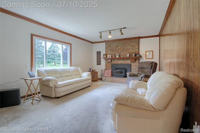 21905 Roxbury Dr, Novi, MI 48374 - living room with rail lighting, carpet, crown molding, and a textured ceiling