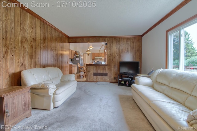 21905 Roxbury Dr, Novi, MI 48374 - living area featuring wooden walls, light colored carpet, crown molding, and a textured ceiling