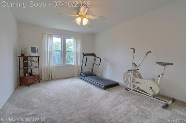 21905 Roxbury Dr, Novi, MI 48374 - exercise room featuring carpet and ceiling fan