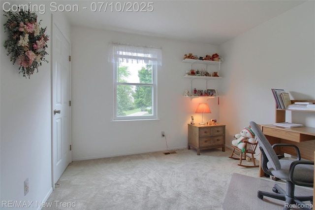 21905 Roxbury Dr, Novi, MI 48374 - carpeted office with baseboards