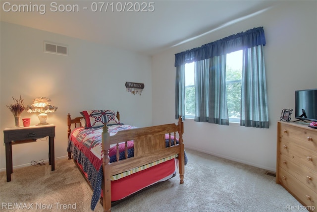 21905 Roxbury Dr, Novi, MI 48374 - carpeted bedroom with baseboards