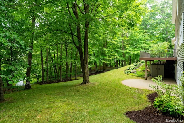 12151 Vergennes St, Lowell, MI 49331 - view of green lawn with a view of trees
