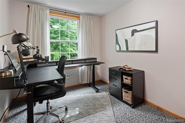 12151 Vergennes St, Lowell, MI 49331 - carpeted office featuring baseboards