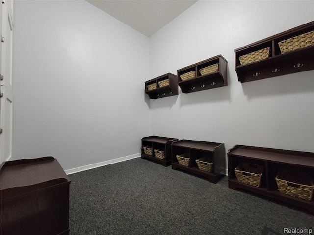 12151 Vergennes St, Lowell, MI 49331 - mudroom featuring carpet and baseboards