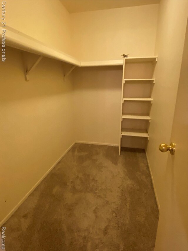 24857 Auburn Ln, Southfield, MI 48033 - walk in closet featuring dark carpet