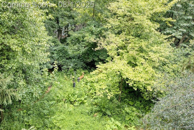 1880 W Liberty St, Ann Arbor, MI 48103 - photo 38