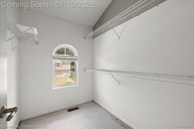 6873 Fox Ln, Waterford, MI 48327 - spacious closet with carpet floors