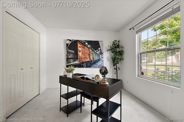 6873 Fox Ln, Waterford, MI 48327 - carpeted office space featuring a textured ceiling