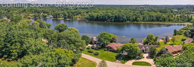 7709 Shelley Dr, Clarkston, MI 48348 - aerial view of a forest and a nearby body of water